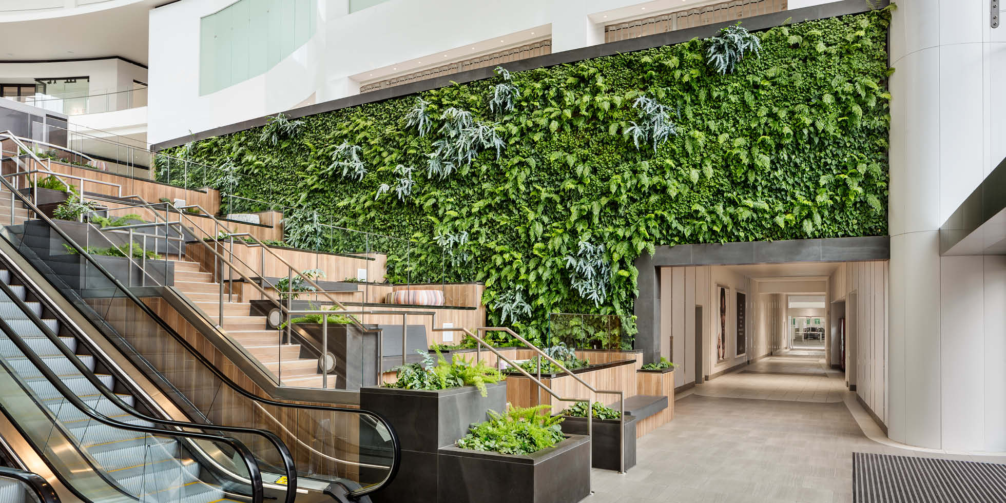 living wall